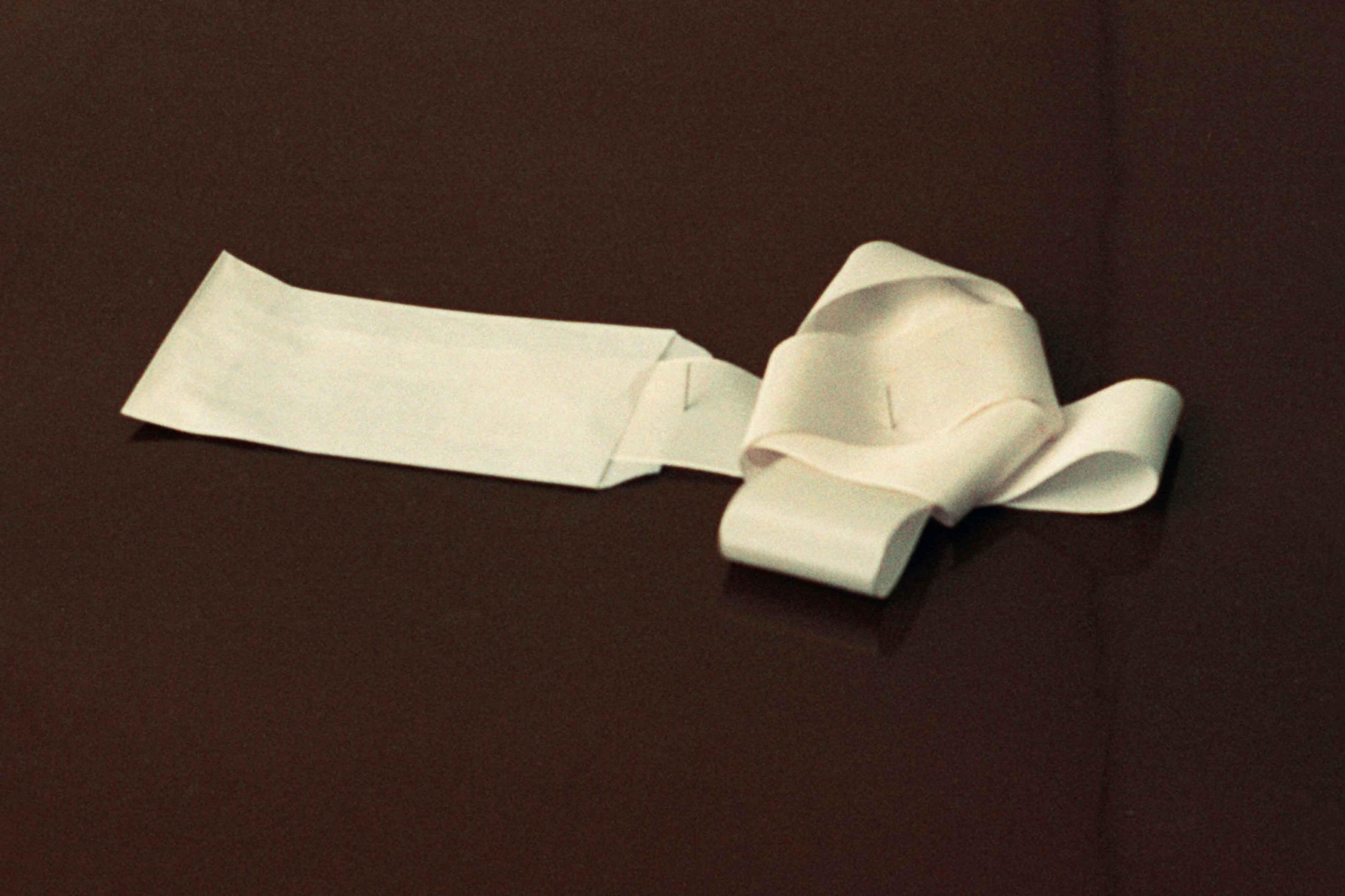 FANE_FANE par Esther Theaker et Beatrice Bonino_3