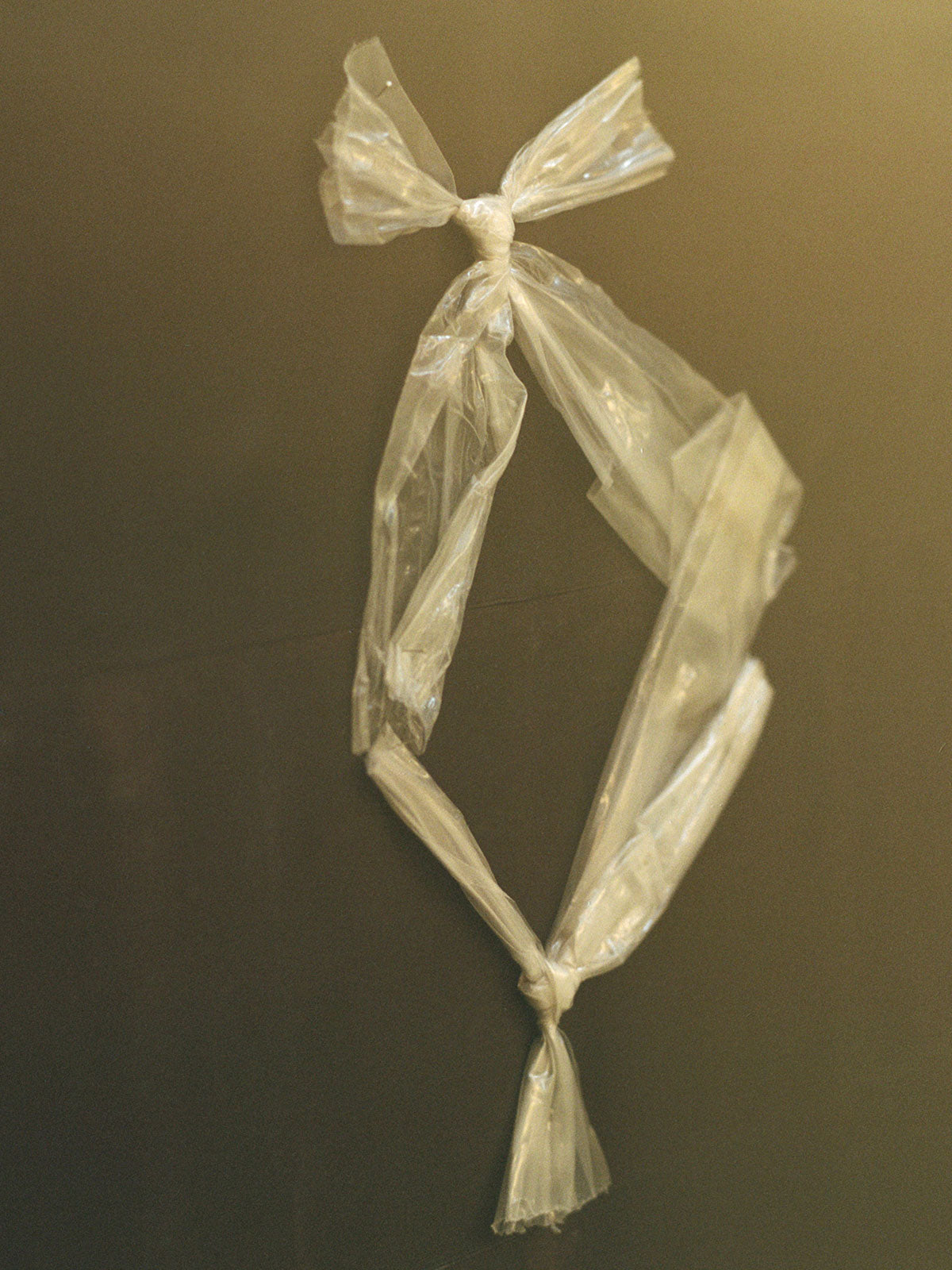 FANE_FANE par Esther Theaker et Beatrice Bonino_7