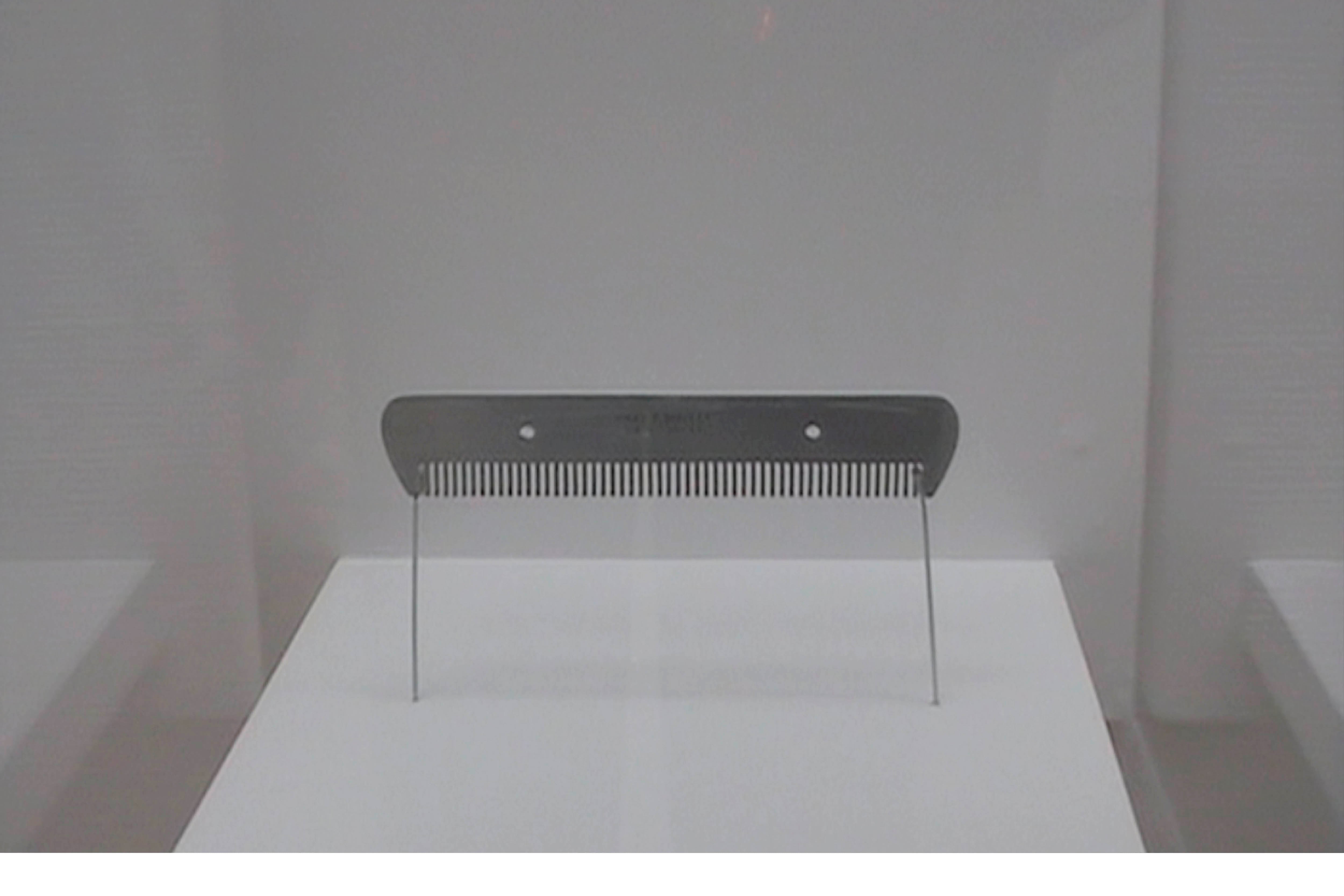 FANE_BORSA & BORSE_3