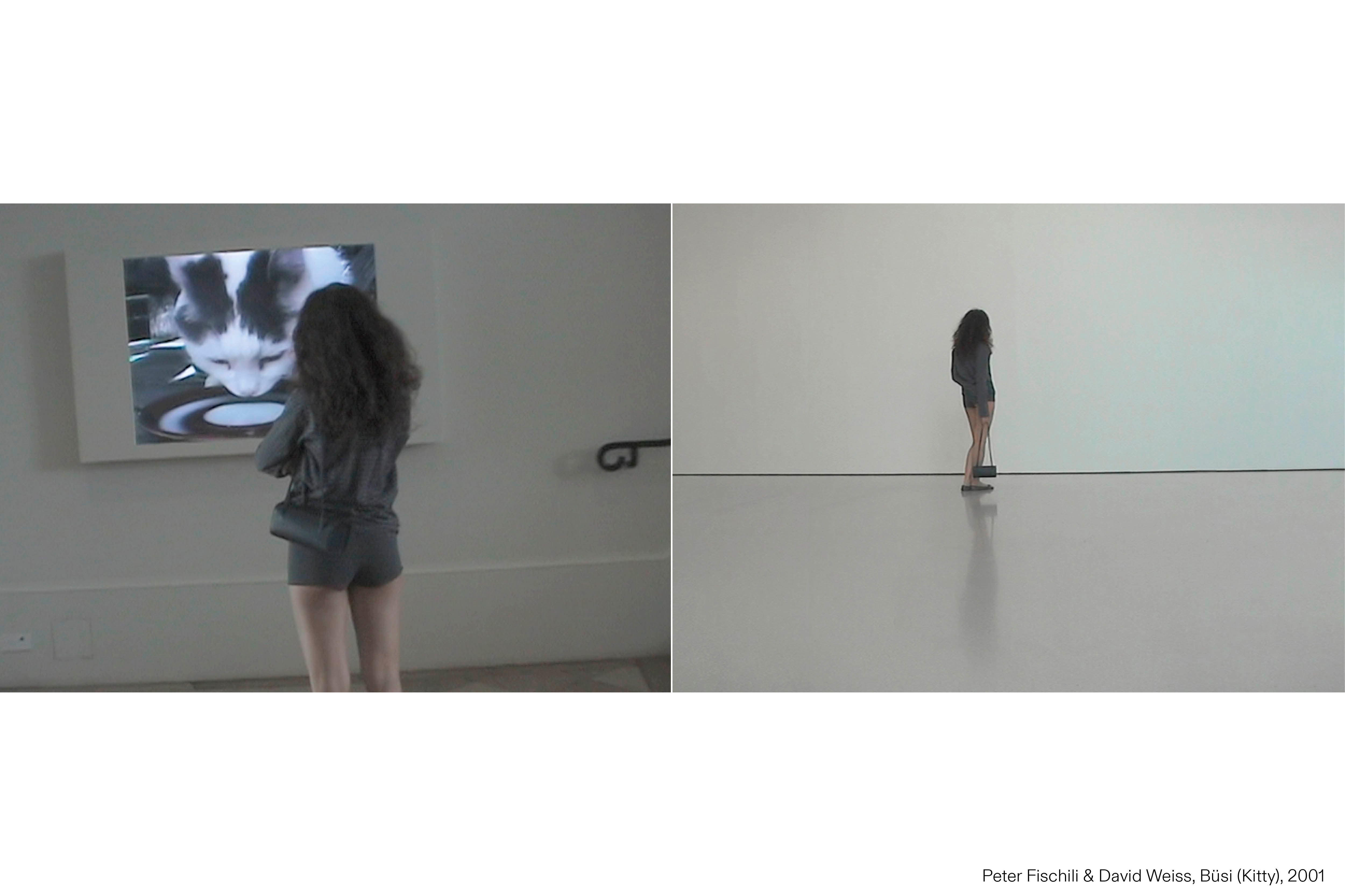 FANE_BORSA & BORSE_5