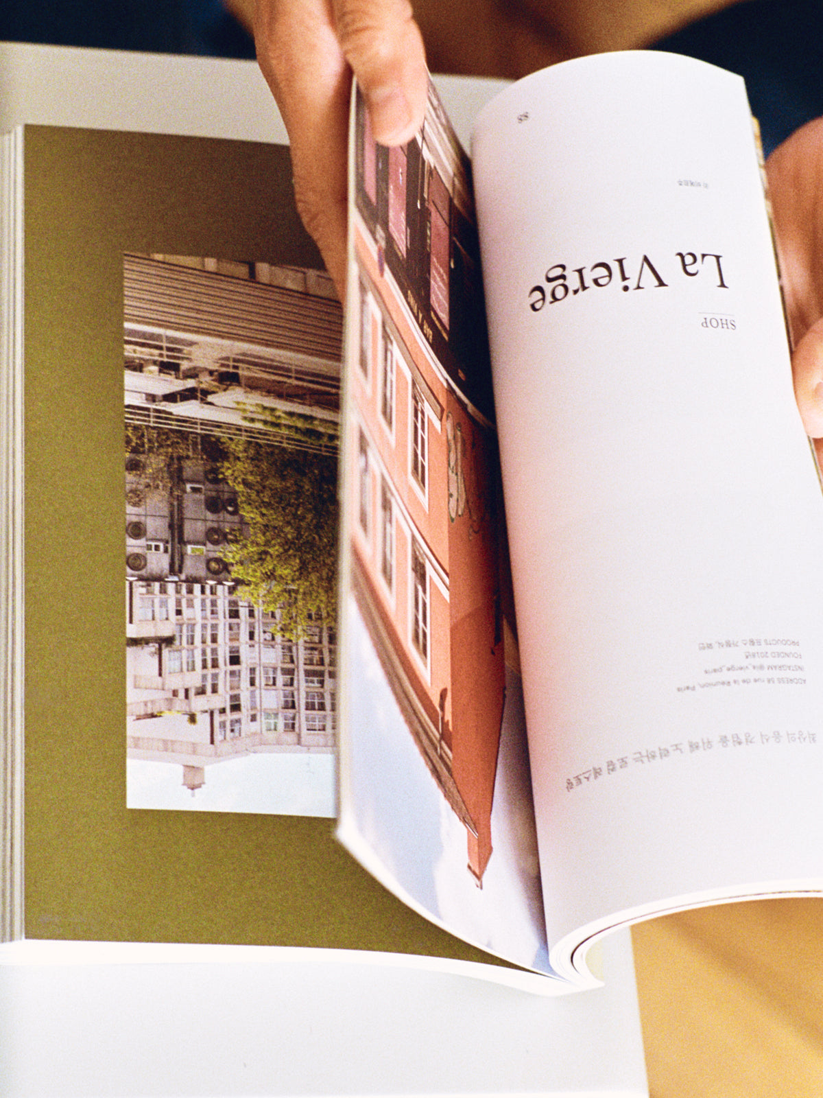 FANE_PORTRAIT - HYESEON JEONG_12