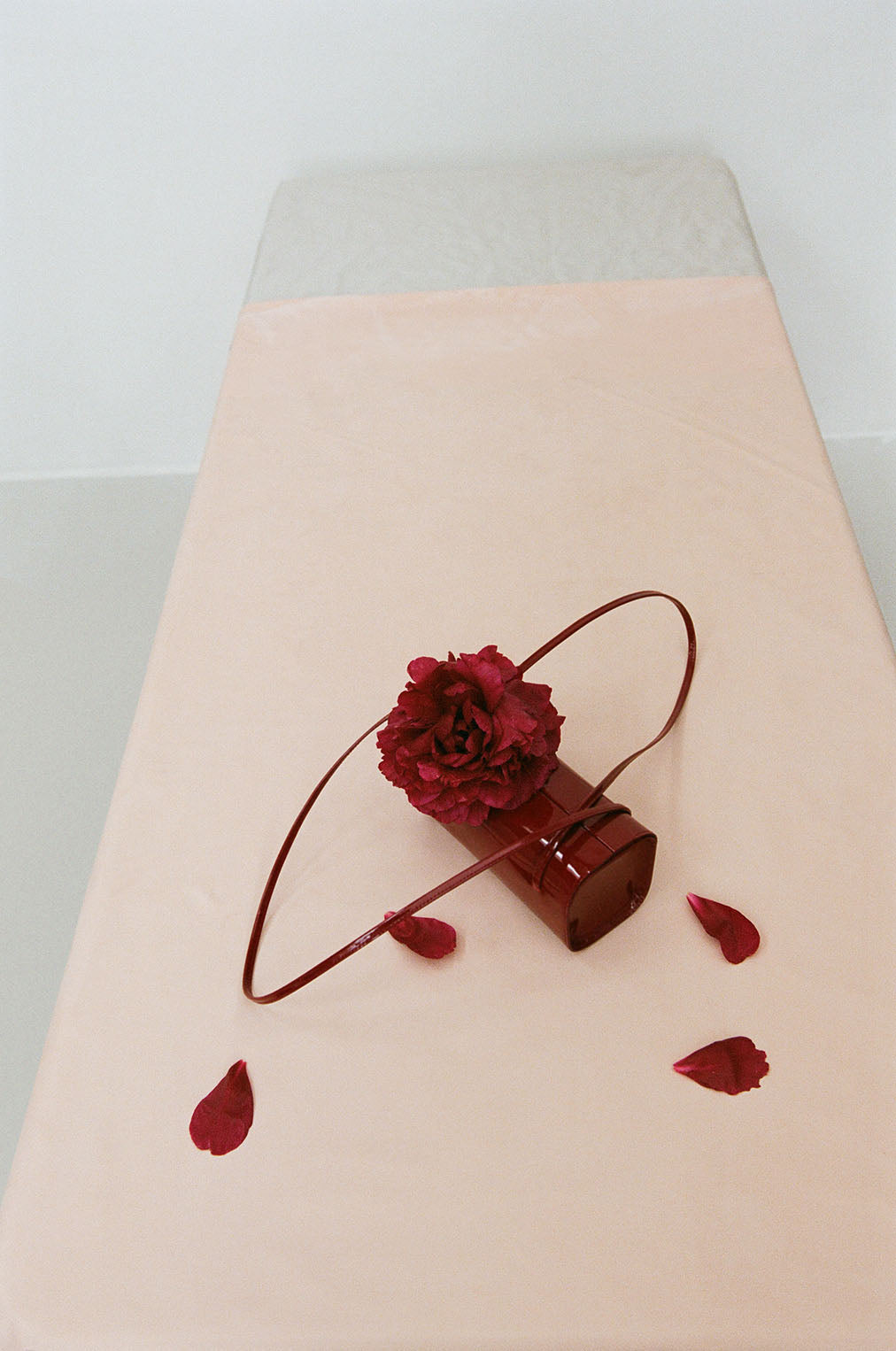 FANE, product: MIE - LIPSTICK PATENT LEATHER (Fig. 7)