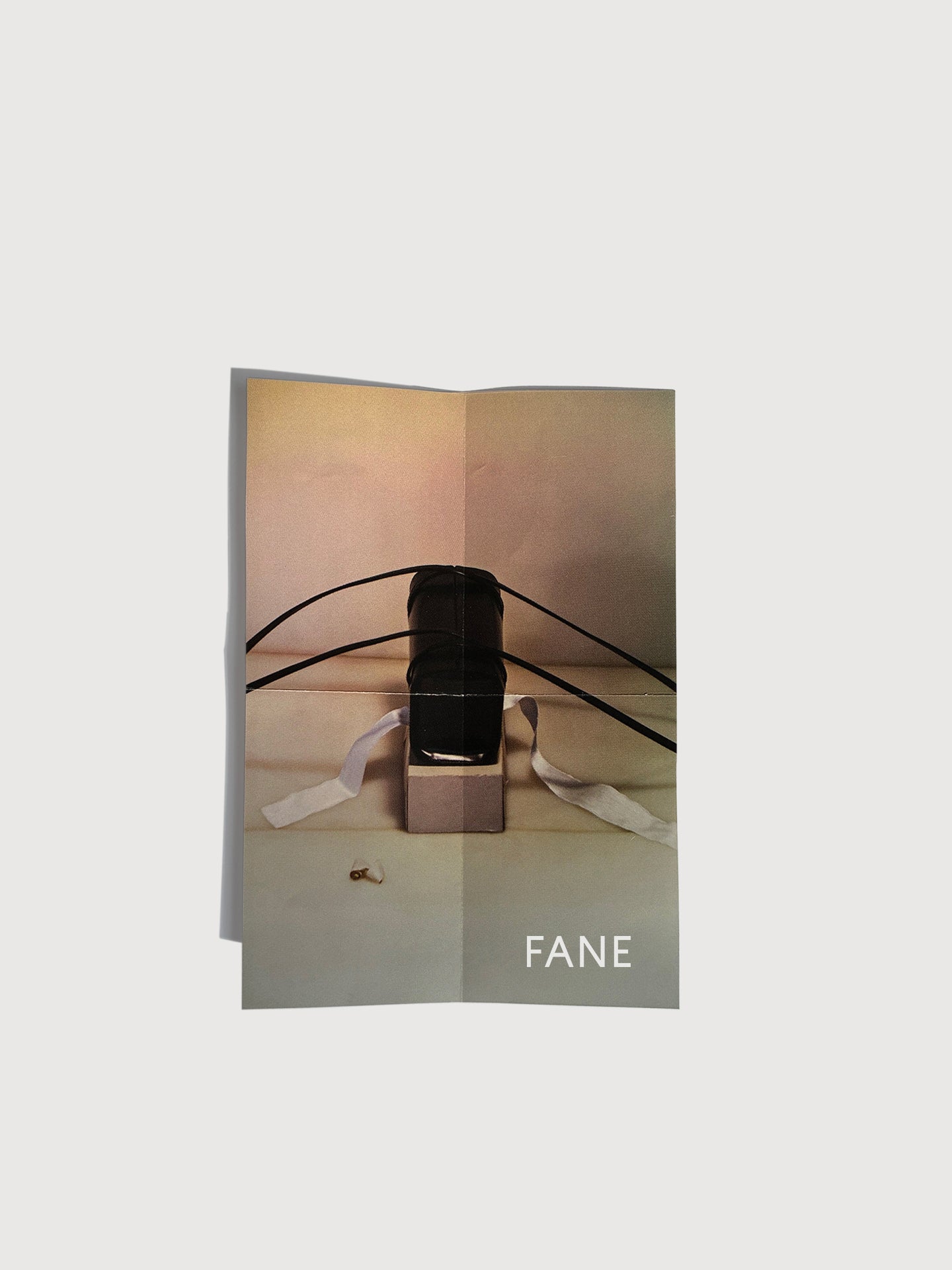 FANE, product: Gift Card (Fig. 1)